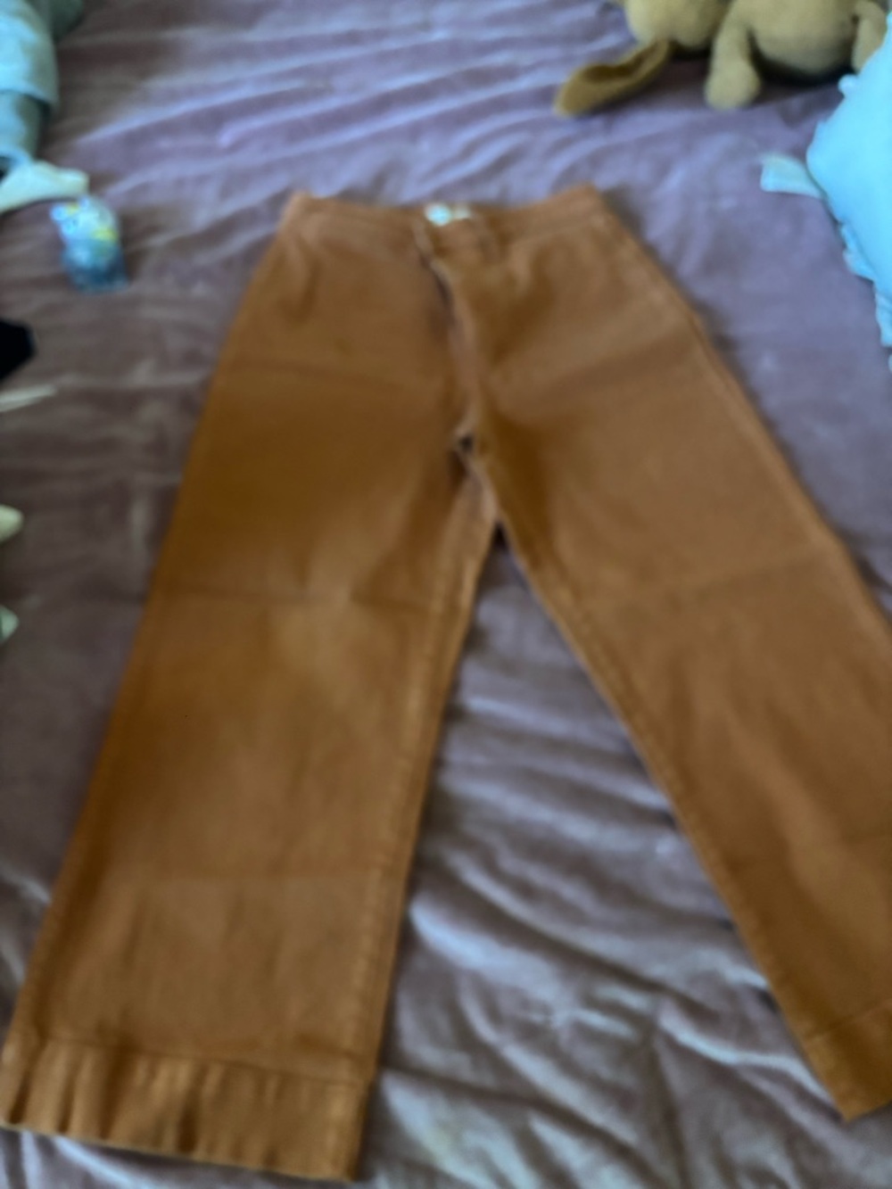 Size 29 Madewell